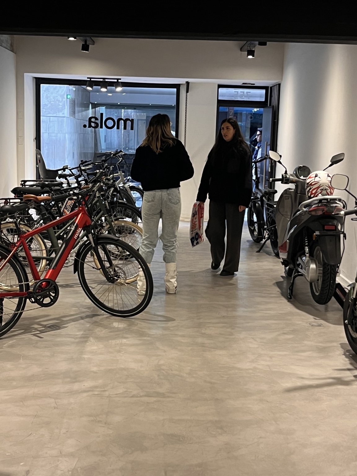 Showroom MOLA